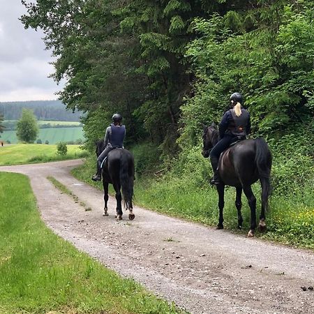 ホテル Zenntaler Hof Neuhof an der Zenn エクステリア 写真